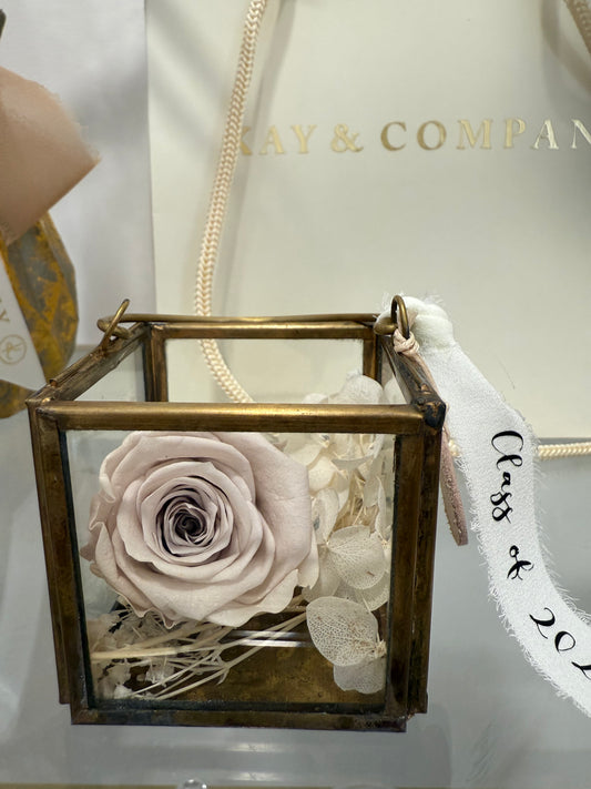 'ETERNAL EMBRACE' Grad Edition - Neutral