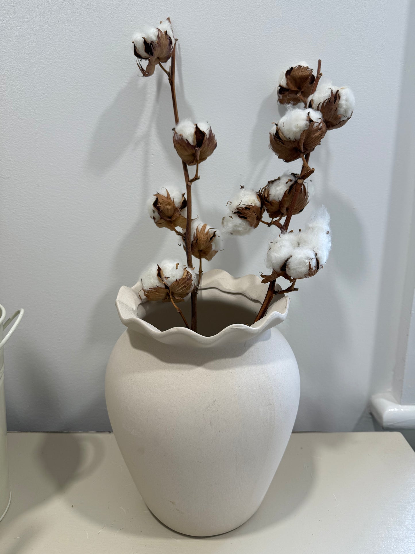 Cotton stems