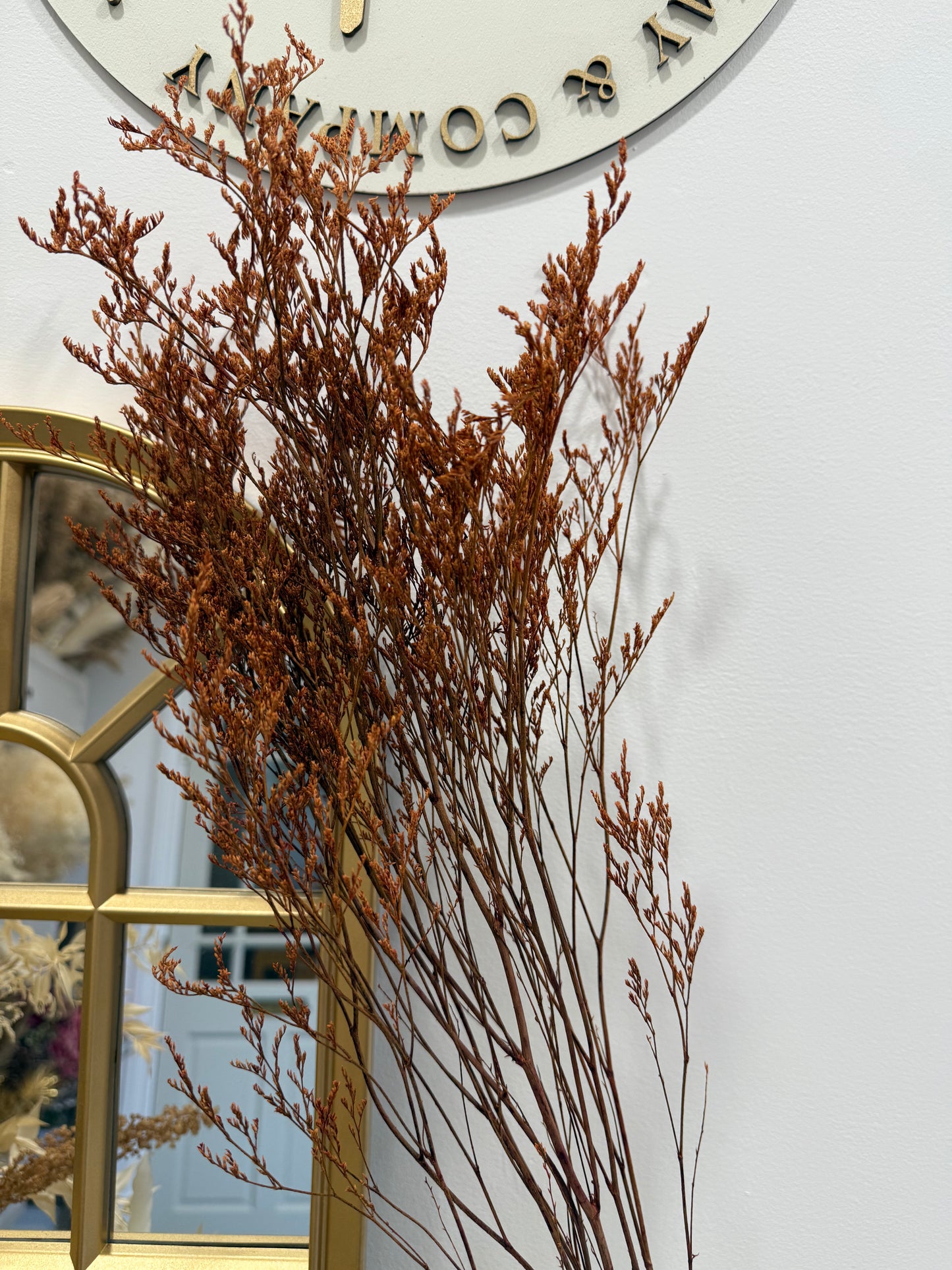 Limonium stem - Orange