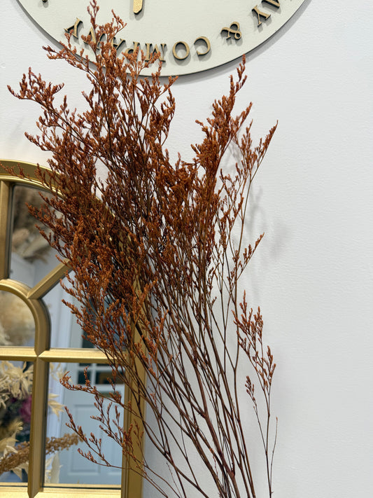 Limonium stem - Orange